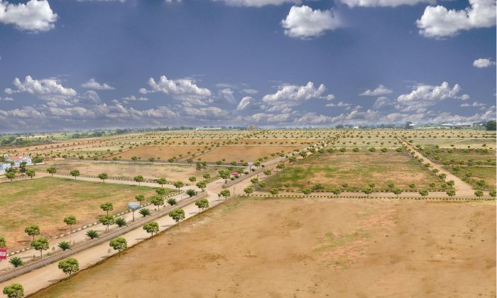 Commercial Plots