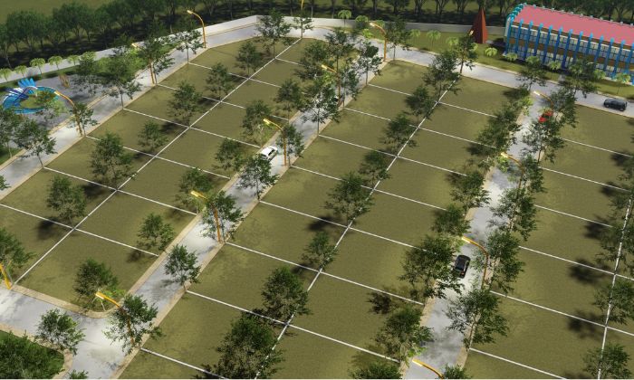 Residential Plots